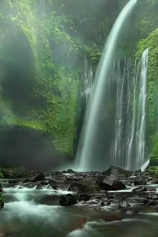 春雨直播app